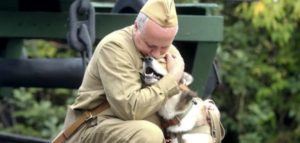Верный друг: как отмечали День фронтовой собаки