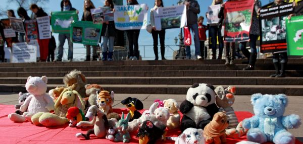 Почему в России откладывают дела о жестоком обращении с животными