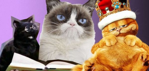 К международному дню кота: самые известные любимцы в кино