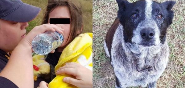Глухой и почти слепой пес спас трехлетнюю девочку, заблудившуюся в лесу. Собака охраняла и согревала малышку, пока ее не нашли спасатели
