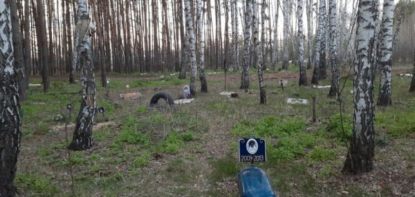 Кладбища домашних животных в лесах рассорили воронежцев