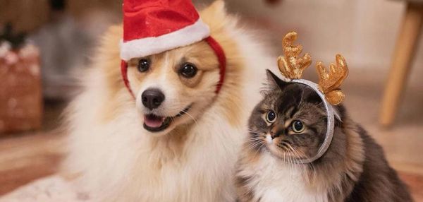 С наступающим праздником!