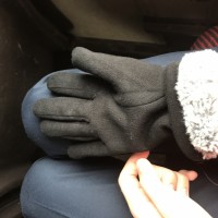 Потеряна перчатка