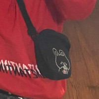 Утеряна черная сумка где то в центре с паспортом,права