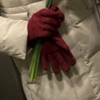 Утеряны красные женские перчатки