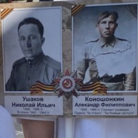 Потеряли портреты дедов на штифе для бессмертного полка