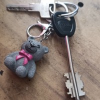 Найдена связка ключей