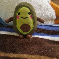 Потеряли игрушку89603252012