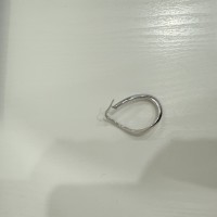 Потеряна серьга