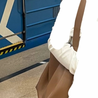 коричневая женская сумка, потеряли