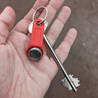 Найдены ключи в Ладожском парке