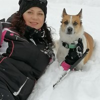 Потерялась собака в Кемерово на Ленина