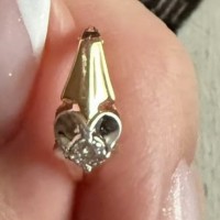 Потеряна серьга