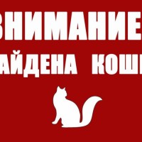 Найден кот\кошка, окрас белый