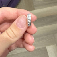 Потеряли сережку