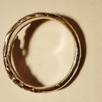 Найдено кольцо "Крылья"