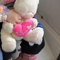 Утеряна игрушка