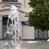 Утеряна сумка