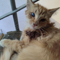 Потеряно:  поиск