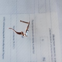 Нашла серёжку. Отдам