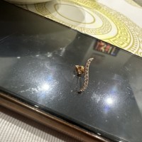 Потеряна серьга