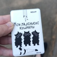 Потерян пропуск, в картхолдере