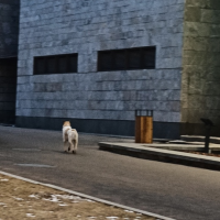 Потеряно:  собака собаку