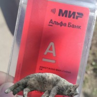 Карта Альфа