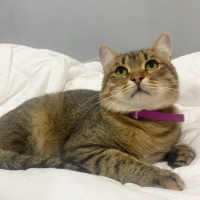 Отдам в добрые руки:  1 годик