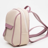 Потеряно:  рюкзак