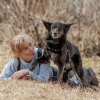 В добрые руки, собака, окрас черный