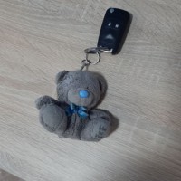Найдены ключи от машины с детской игрушкой на ул. Соммера