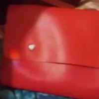 Потеряна маленькая красная сумка с двумя магнитными застёжками
