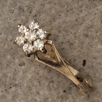 Потеряна сережка