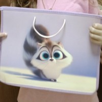 Потеряли детскую папку